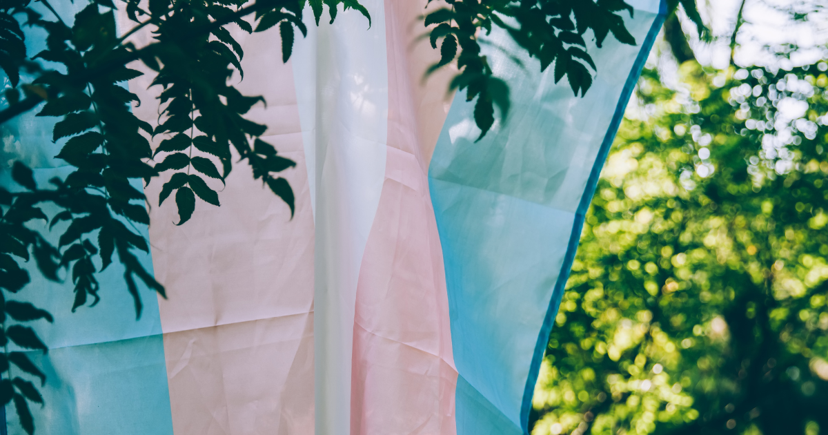 “Baby Trans” - Early Stages of Transition