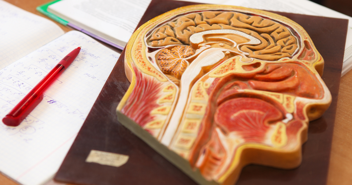 KO EDUKUJE NAŠU DECU - PROBLEMATIČAN SAZIV RADNE GRUPE ZA ISPITIVANJE NEPRAVILNOSTI U UDŽBENICIMA IZ BIOLOGIJE